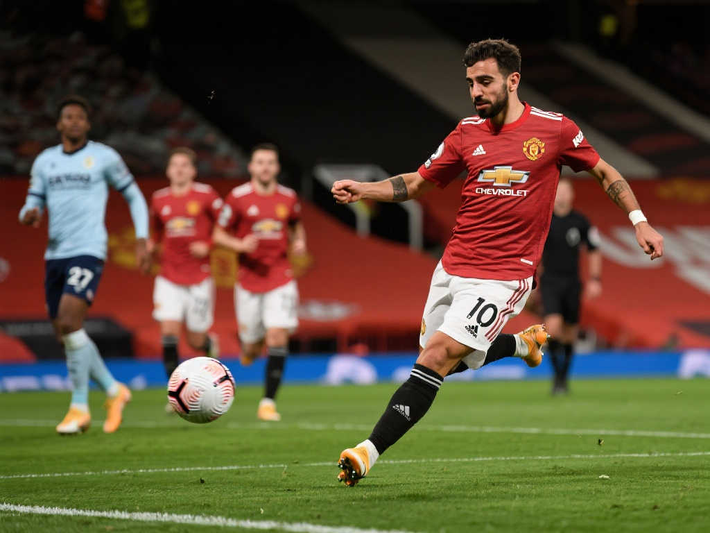 对梅里诺的 对梅里诺的